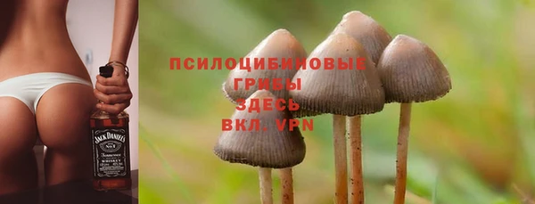 герыч Шадринск