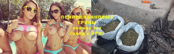 герыч Шадринск